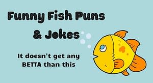 Funny Fish Puns and Jokes Header