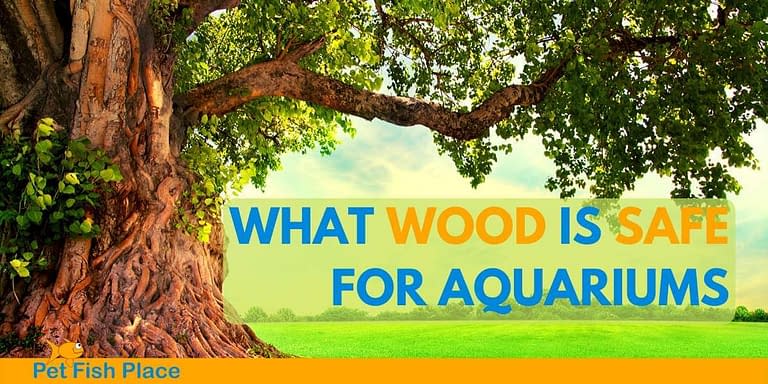 What Wood is Safe for Aquariums