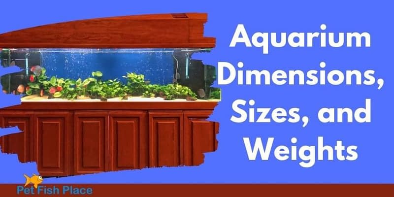 Aquarium Dimensions Sizes Weights