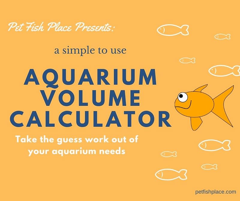 Volume Calculator Graphic