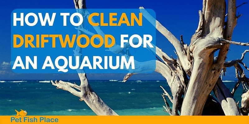How to clean driftwood for an aquarium