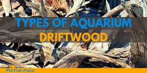 Types of aquarium driftwood