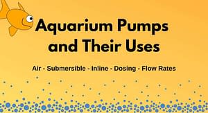 Aquarium Pumps and Their Uses